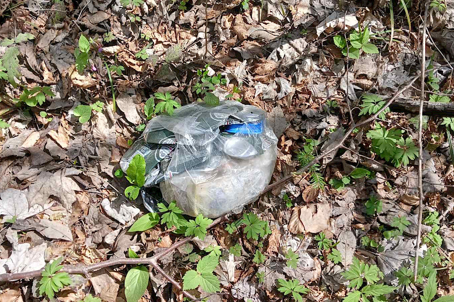 Čistilna in delovna akcija